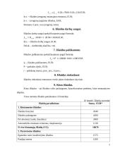 Verslo planas IĮ "Doori" 8 puslapis