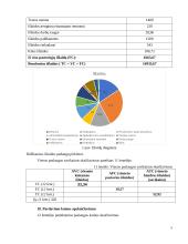 Verslo planas IĮ "Doori" 9 puslapis