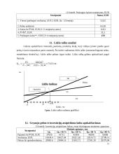 Verslo planas IĮ "Doori" 10 puslapis