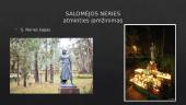 Skaidrės apie Salomėja Nerį 19 puslapis