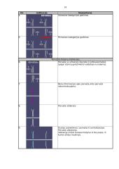 Gamybinės praktikos ataskaita Kauno geležinkelio stotyje 14 puslapis