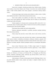 Gamybinės praktikos ataskaita Kauno geležinkelio stotyje 5 puslapis