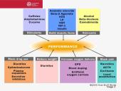 Drug Abuse and Doping in Sport 12 puslapis