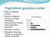 AB „Lifosa” 7 puslapis