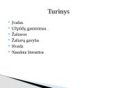 Užpildų žaliavos 2 puslapis