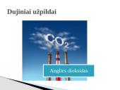 Užpildų žaliavos 12 puslapis