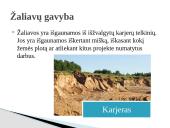 Užpildų žaliavos 13 puslapis