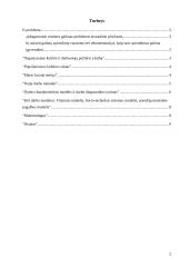 Vadovavimas žmonėms ir komandoms 2 puslapis