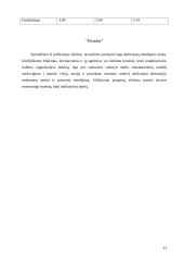 Vadovavimas žmonėms ir komandoms 13 puslapis