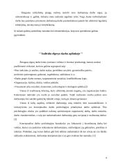 Vadovavimas žmonėms ir komandoms 4 puslapis