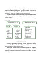 Vadovavimas žmonėms ir komandoms 5 puslapis