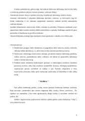 Vadovavimas žmonėms ir komandoms 6 puslapis