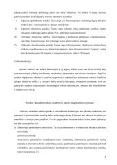 Vadovavimas žmonėms ir komandoms 8 puslapis