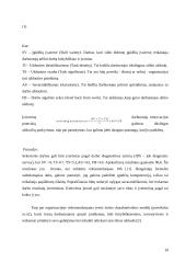 Vadovavimas žmonėms ir komandoms 10 puslapis