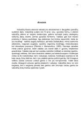 Būrys. Vabalai 11 puslapis