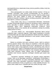 Būrys. Vabalai 4 puslapis