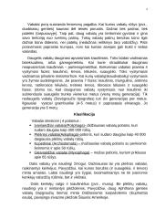 Būrys. Vabalai 5 puslapis