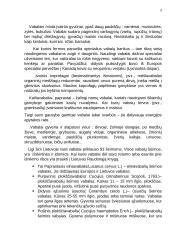 Būrys. Vabalai 6 puslapis