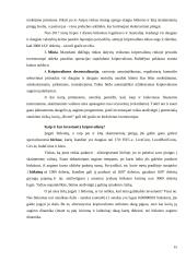 Kriptovaliutos: esmė, populiarumas ir rizika 15 puslapis