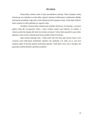 Kriptovaliutos: esmė, populiarumas ir rizika 19 puslapis