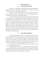 Kriptovaliutos: esmė, populiarumas ir rizika 4 puslapis
