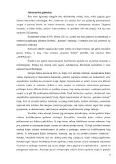 Kriptovaliutos: esmė, populiarumas ir rizika 9 puslapis