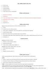 Politologijos pradmenys 2 puslapis