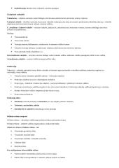 Politologijos pradmenys 11 puslapis