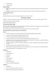 Politologijos pradmenys 7 puslapis