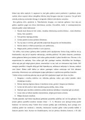 Gabių vaikų mokymosi ypatumai 4 puslapis