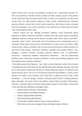 Gabių vaikų mokymosi ypatumai 5 puslapis