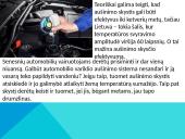 Automobilio paruošimas žiemai 12 puslapis