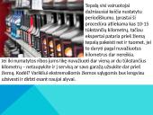 Automobilio paruošimas žiemai 14 puslapis