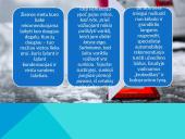 Automobilio paruošimas žiemai 19 puslapis