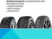 Automobilio paruošimas žiemai 5 puslapis