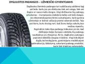 Automobilio paruošimas žiemai 8 puslapis