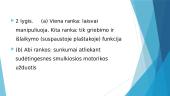 Rankų smulkiosios motorikos testas (BFMF) 3 puslapis