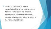 Rankų smulkiosios motorikos testas (BFMF) 4 puslapis