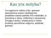 Sveika gyvencena 7 puslapis