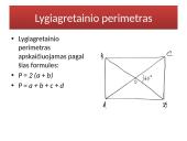 Lygiagretainio prezentacija 2 puslapis