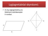 Lygiagretainio prezentacija 3 puslapis