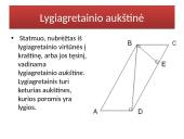 Lygiagretainio prezentacija 5 puslapis