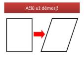 Lygiagretainio prezentacija 8 puslapis