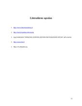 Referatas apie Olimpizmą 13 puslapis