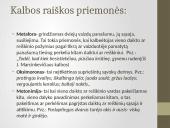Kalbos raiško priemonių vartojimas viešosiose kalbose 6 puslapis