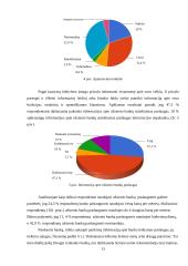 Užsienio bankų veikla Lietuvoje 13 puslapis