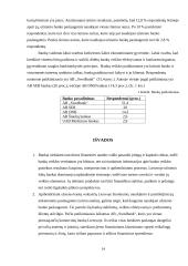 Užsienio bankų veikla Lietuvoje 14 puslapis