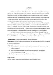 Užsienio bankų veikla Lietuvoje 3 puslapis