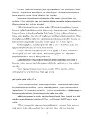 Užsienio bankų veikla Lietuvoje 5 puslapis