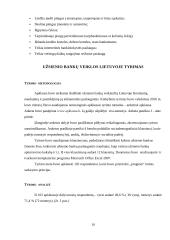 Užsienio bankų veikla Lietuvoje 10 puslapis